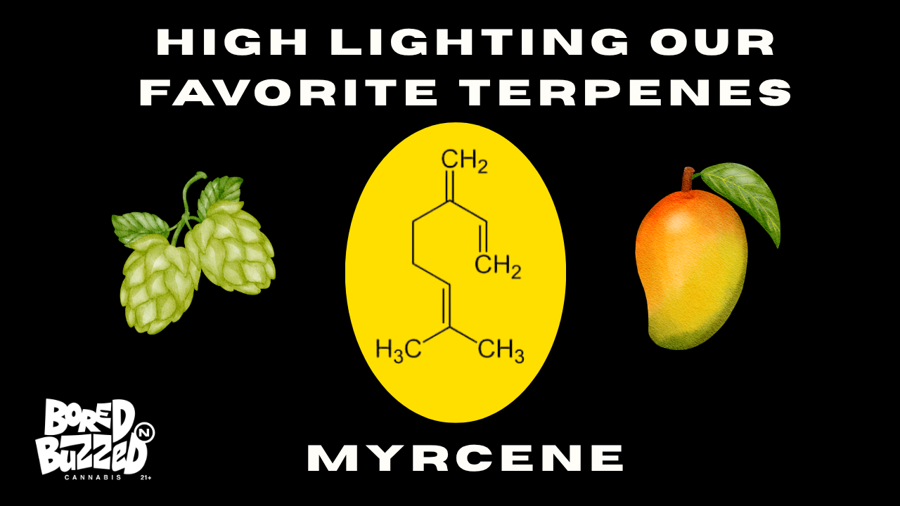 A closer look at one of cannabis' most common terpenes, what it smells like, and how to find it.
