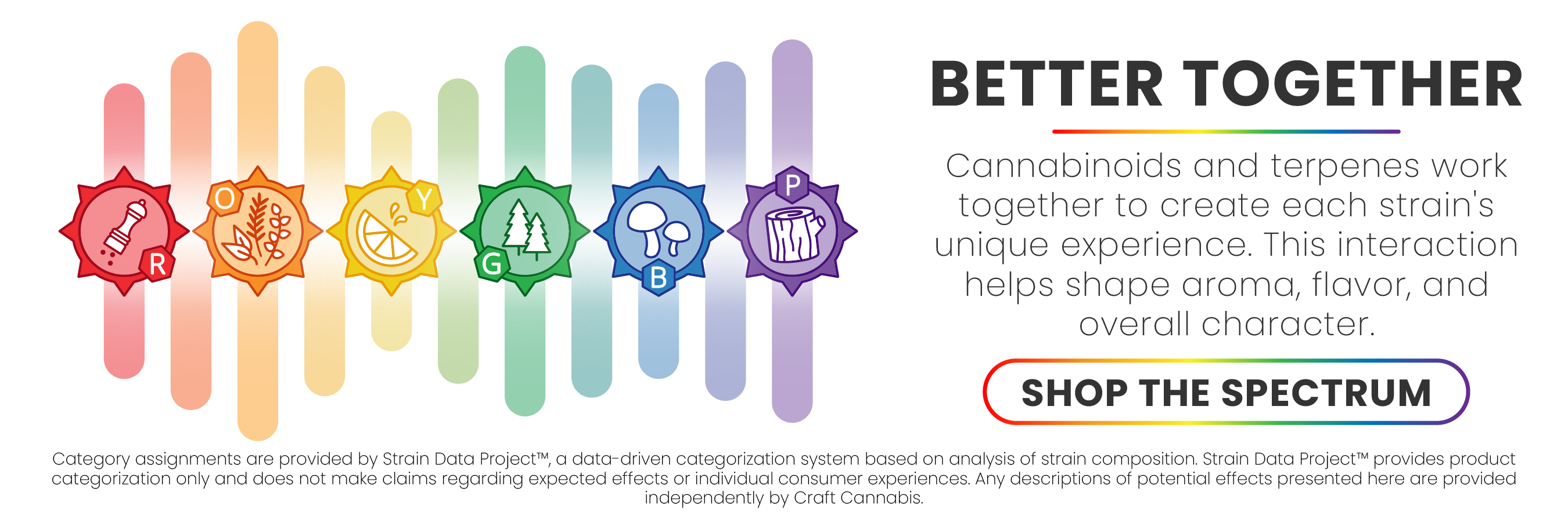 Six aroma profiles, each a family of terpenes